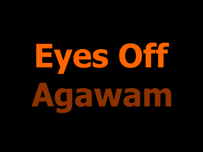 Eyes Off Agawam logo